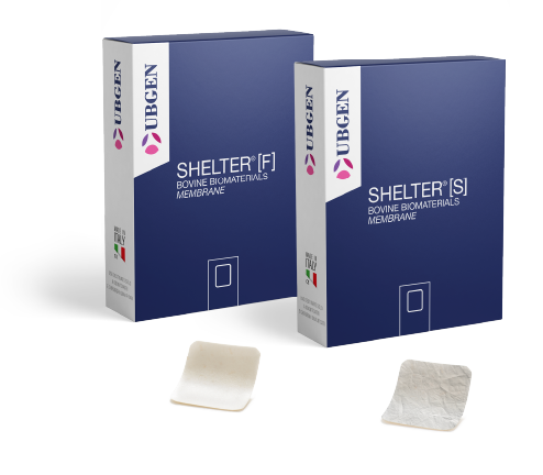 Shelter